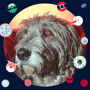 Meet your Posher, Corrina